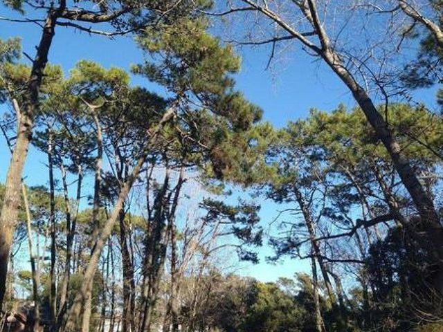 place photo 21