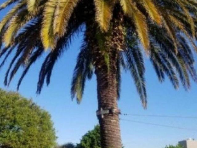 place photo 16