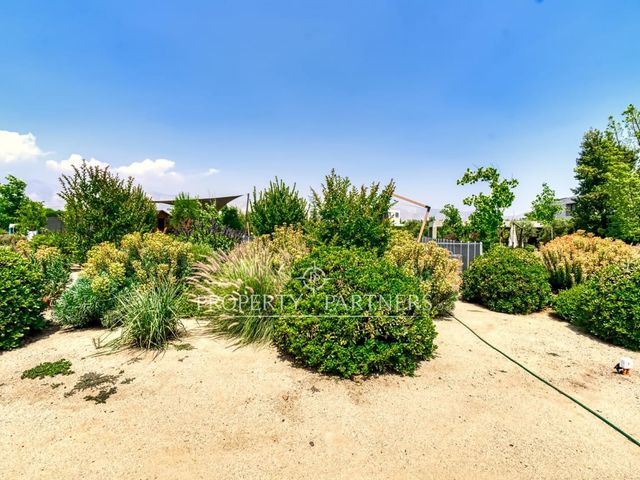 place photo 33