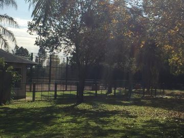 place photo 13