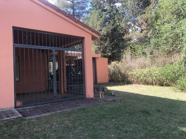 place photo 51