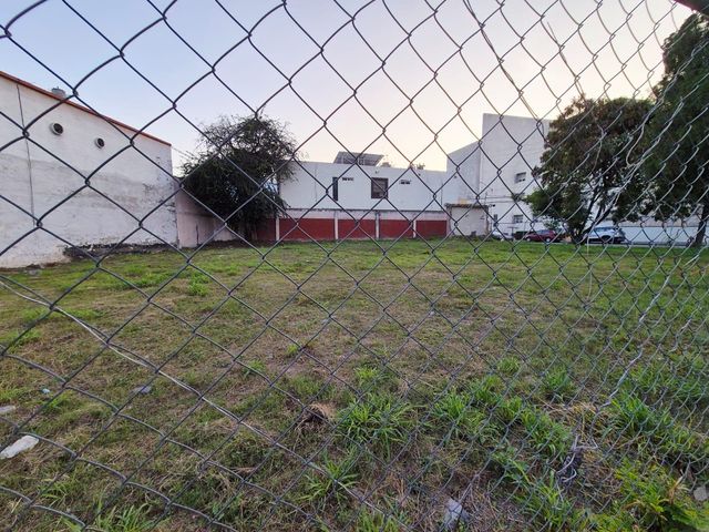 place photo 11