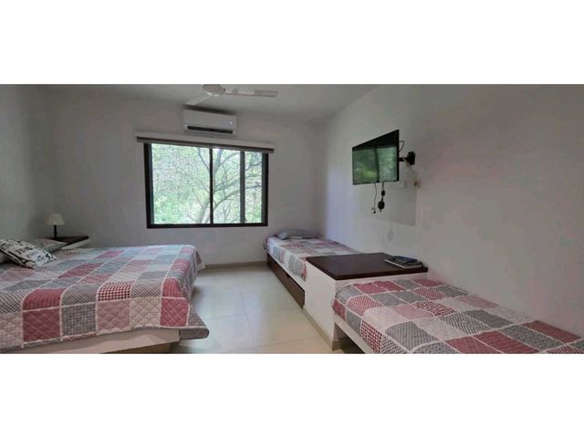 place photo 40