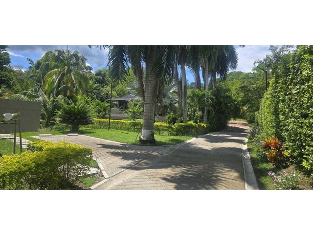 place photo 65