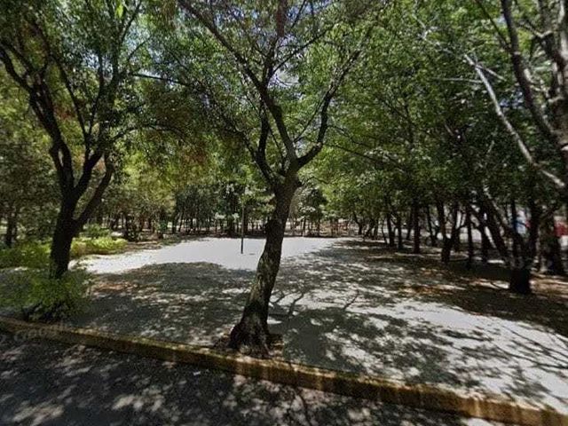 place photo 7
