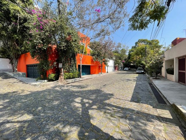 place photo 29