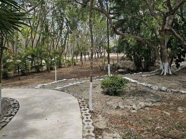 place photo 23