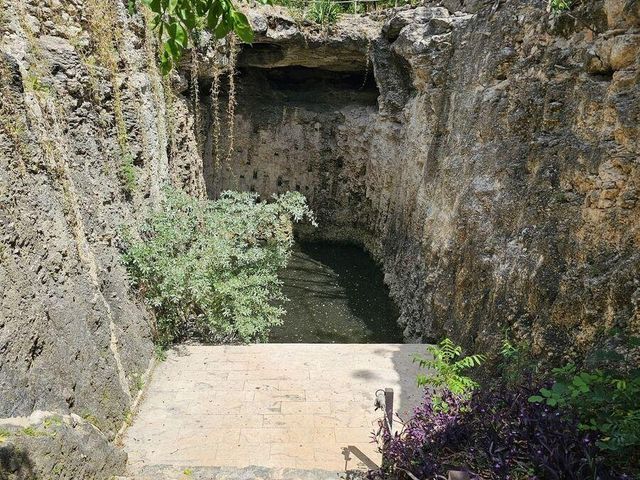 place photo 26
