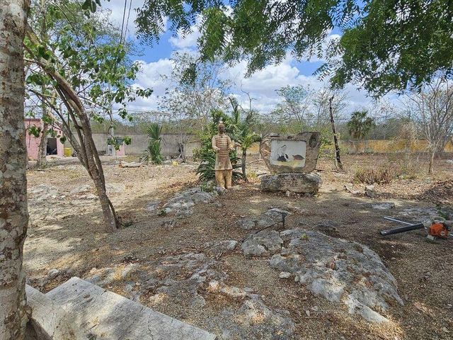 place photo 16