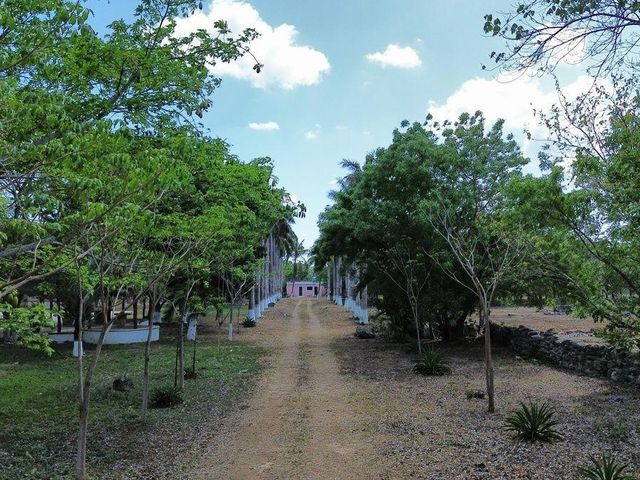 place photo 29