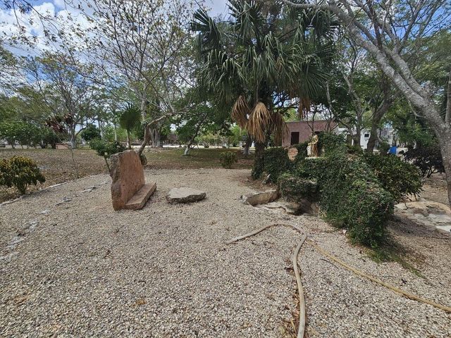 place photo 14
