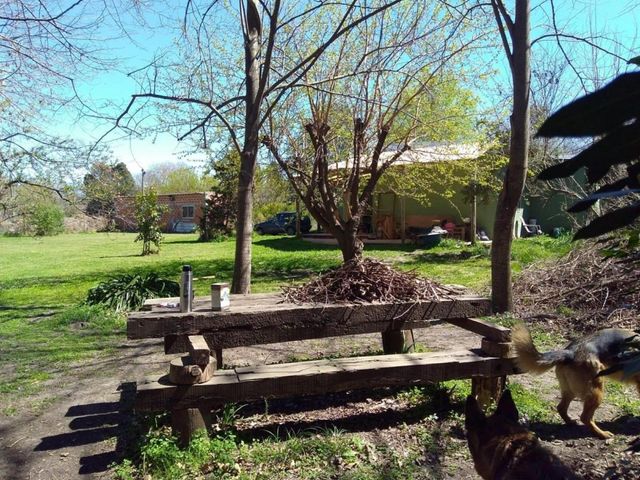 place photo 16
