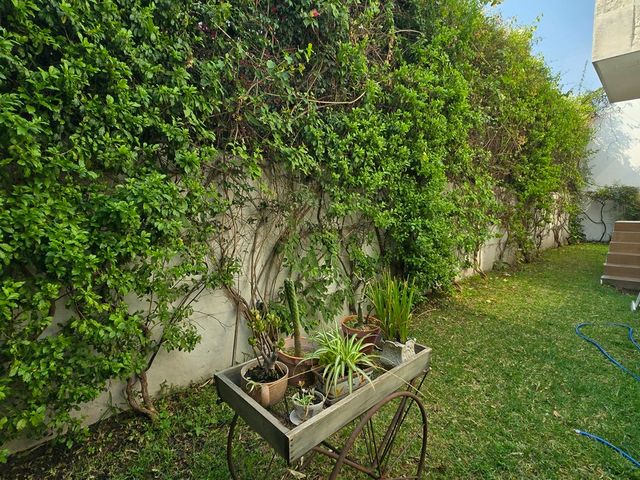 place photo 36