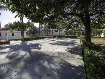 place photo 39