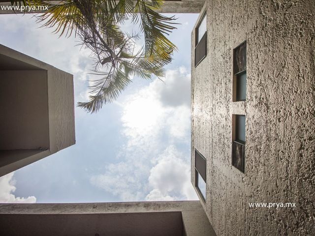 place photo 26