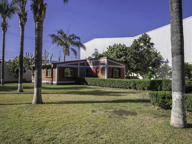 place photo 20