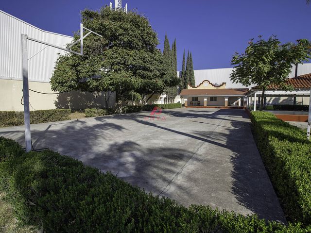 place photo 30