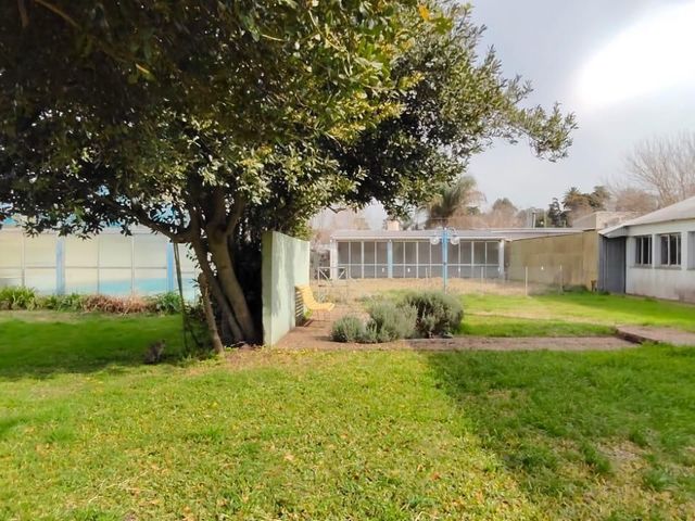 place photo 24
