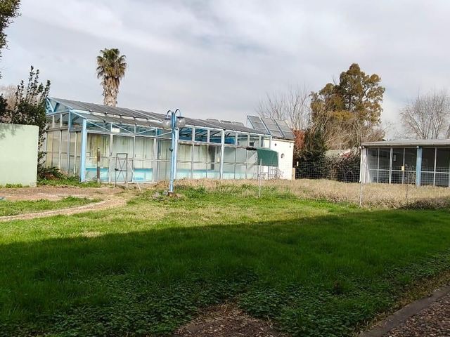 place photo 23