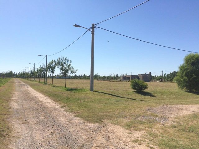 place photo 28
