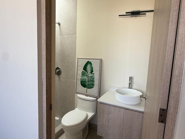 place photo 41