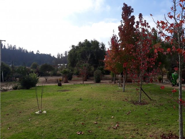 place photo 36