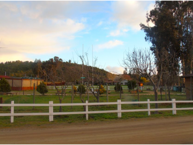 place photo 39