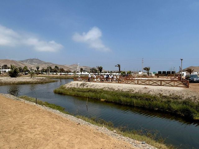 place photo 35