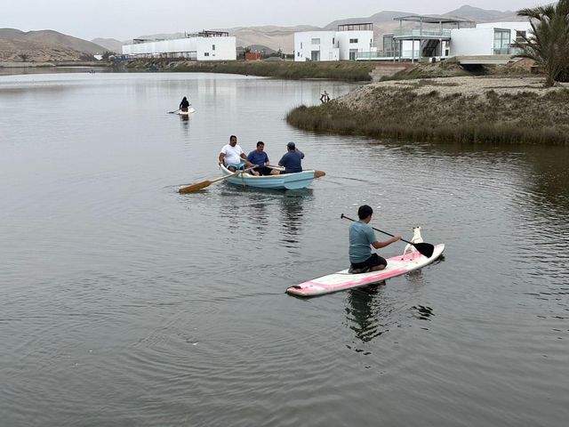 place photo 41