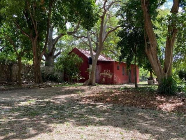 place photo 25