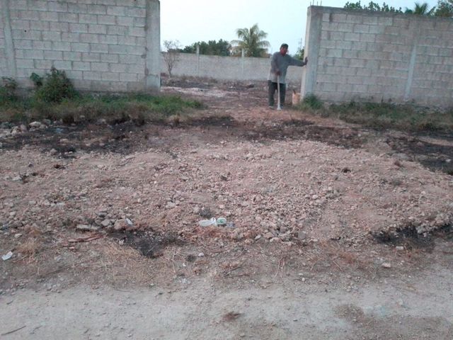 place photo 6
