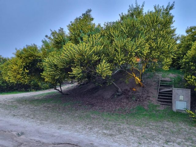 place photo 31