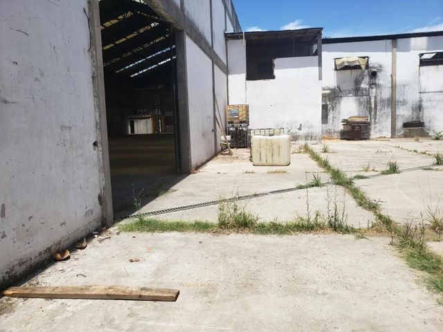 place photo 26