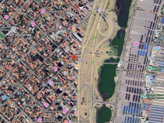 place photo 18