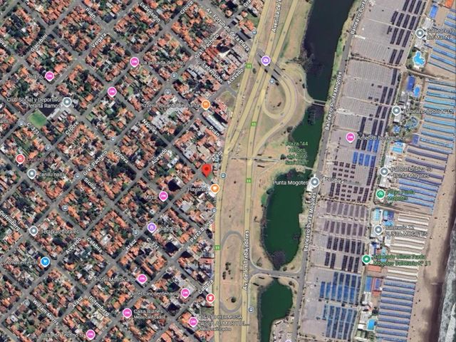 place photo 17
