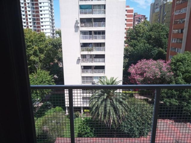 place photo 31