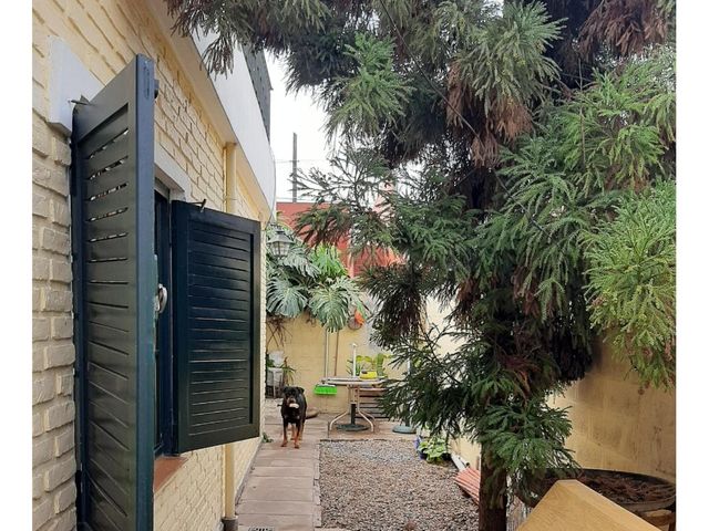 place photo 14