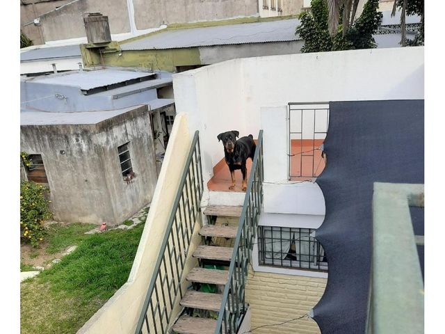 place photo 8