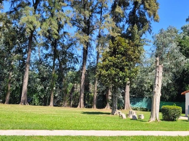 place photo 51