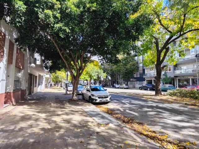place photo 36
