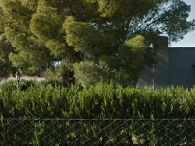 place photo 9