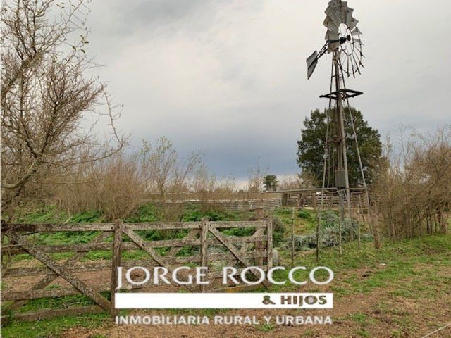 place photo 32