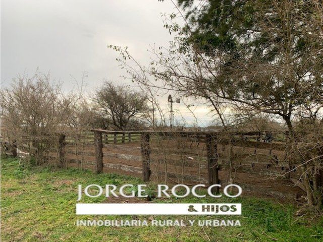 place photo 29