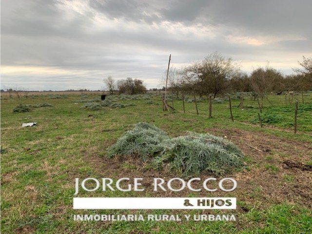 place photo 31