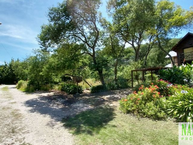 place photo 44