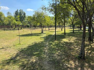 place photo 52