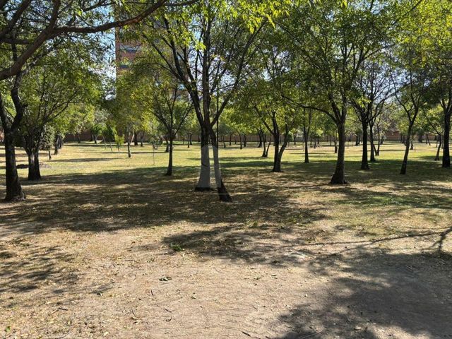 place photo 51