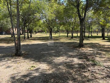 place photo 46
