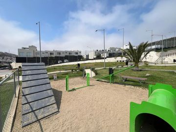 place photo 27