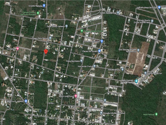 place photo 3